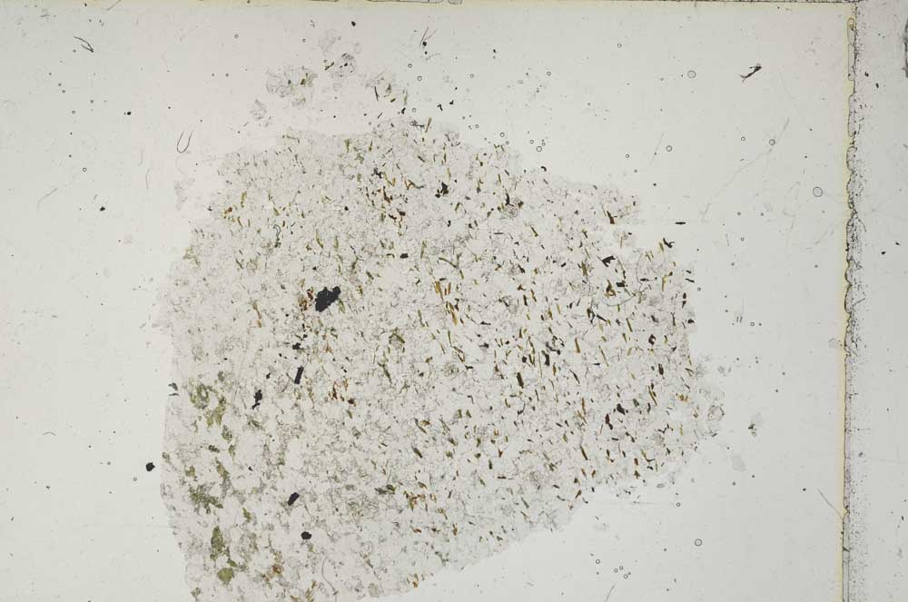 Plane Polarized, S47836