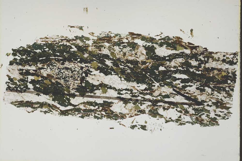 Plane Polarized, S47837
