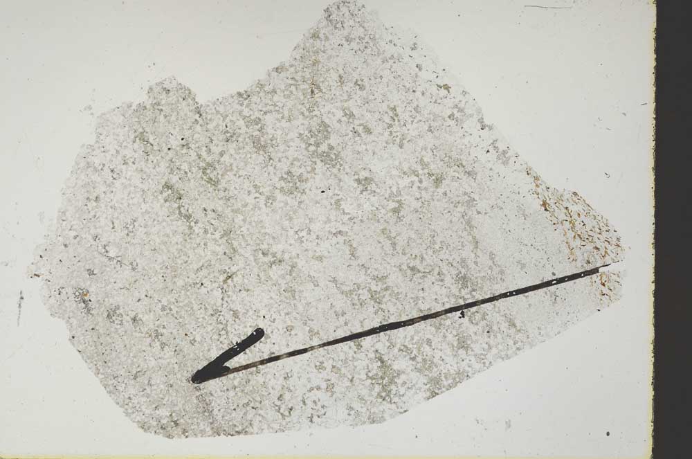 Plane Polarized, S47843