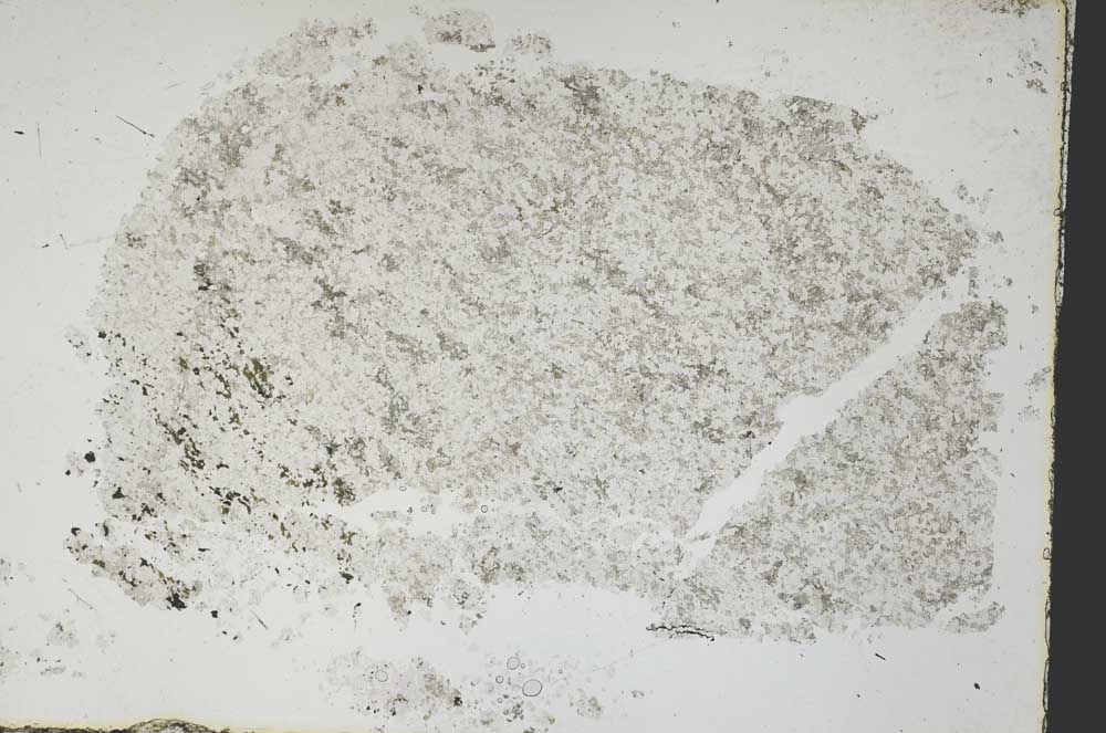 Plane Polarized, S47848
