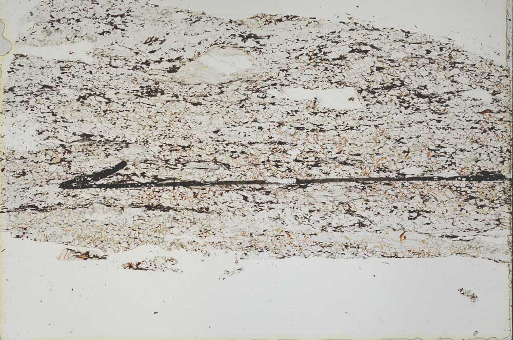 Plane Polarized, S47855