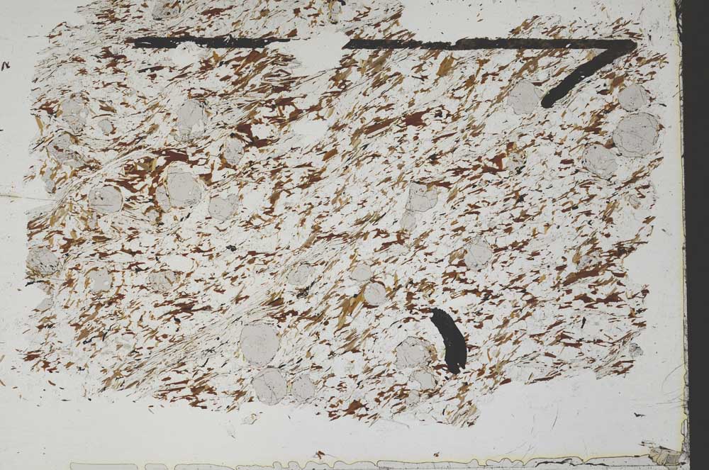 Plane Polarized, S47856