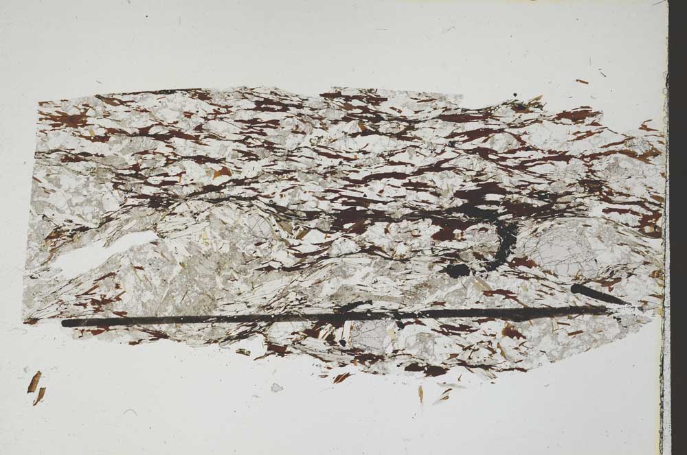 Plane Polarized, S47861