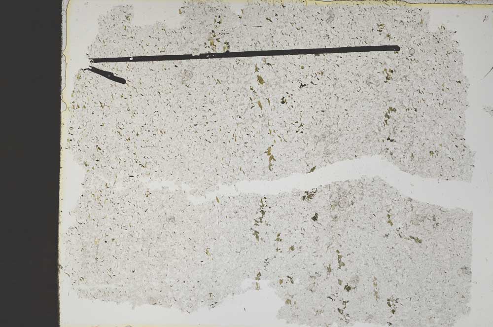 Plane Polarized, S47864