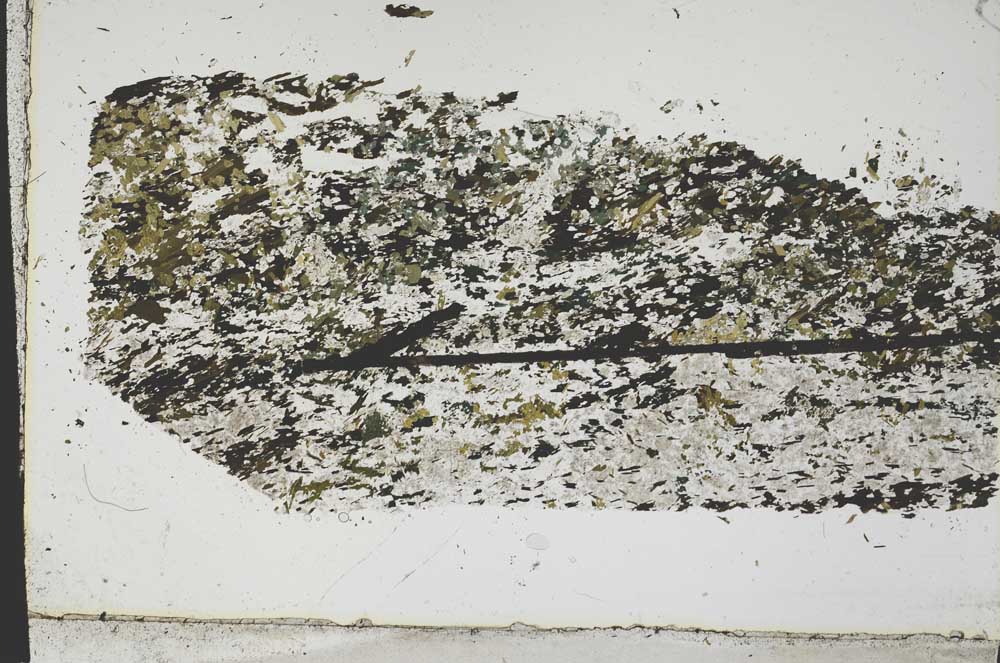Plane Polarized, S47866