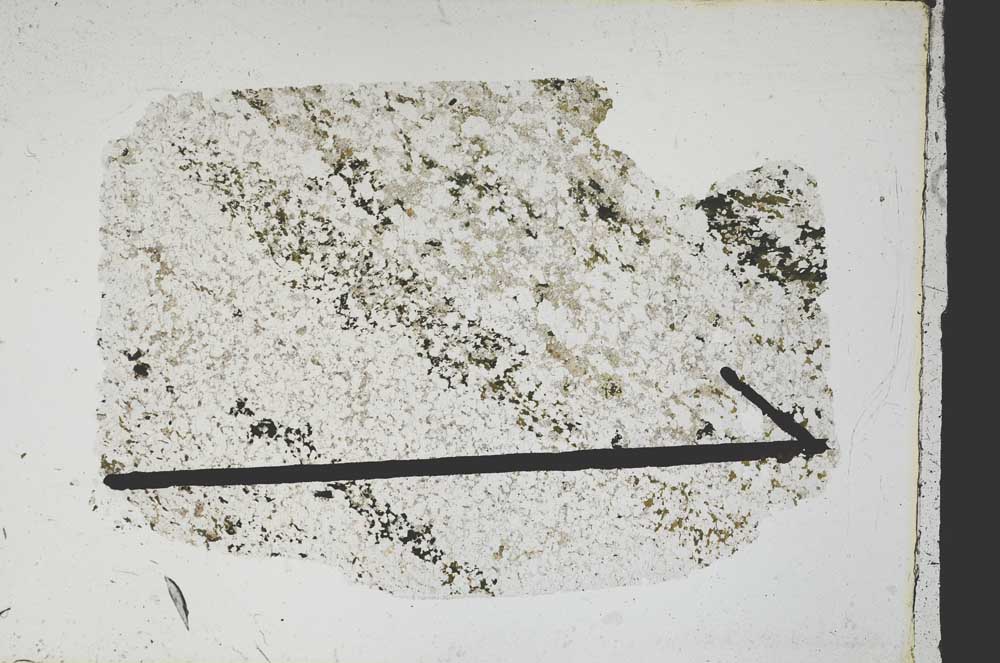 Plane Polarized, S47868