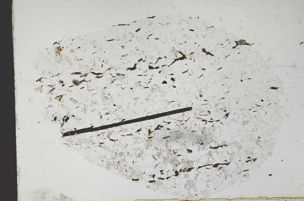 Plane Polarized, S47873