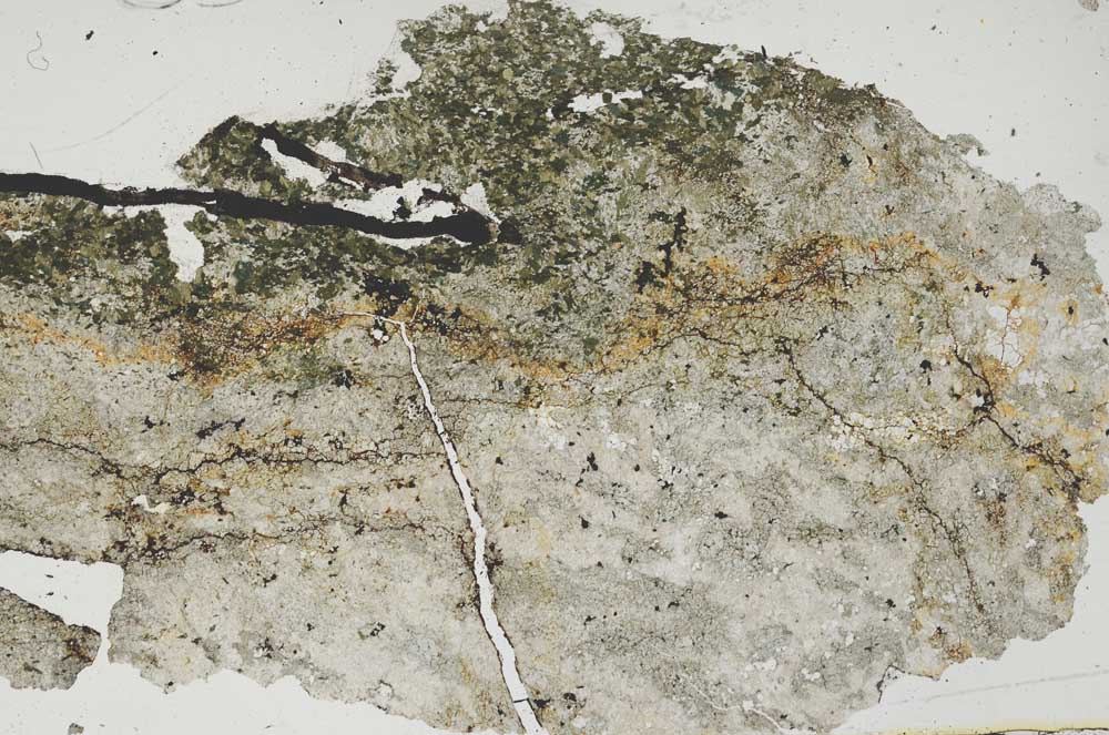 Plane Polarized, S47884