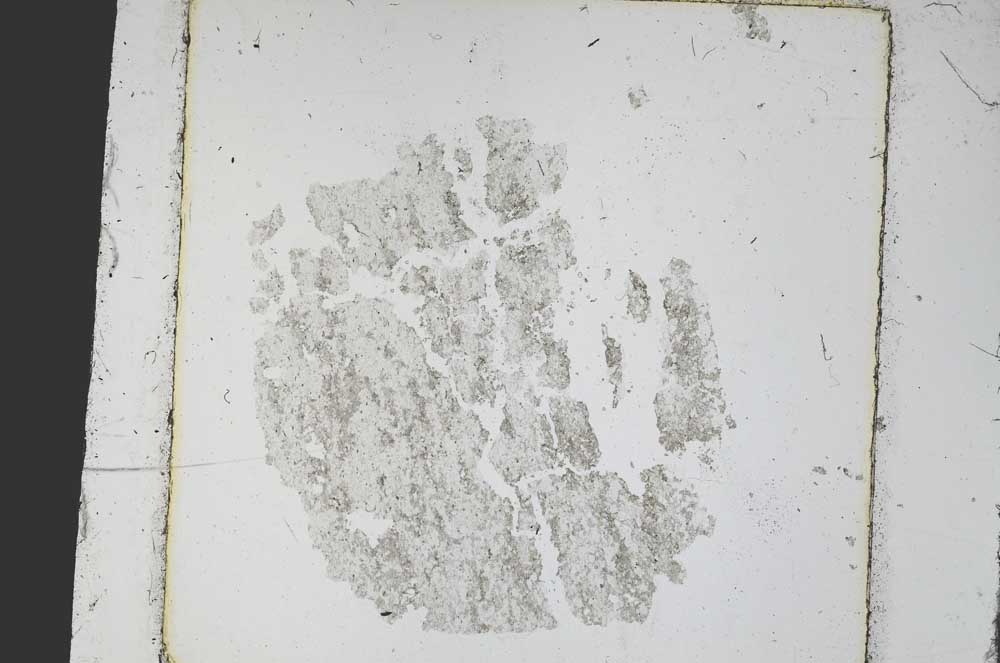 Plane Polarized, S47888