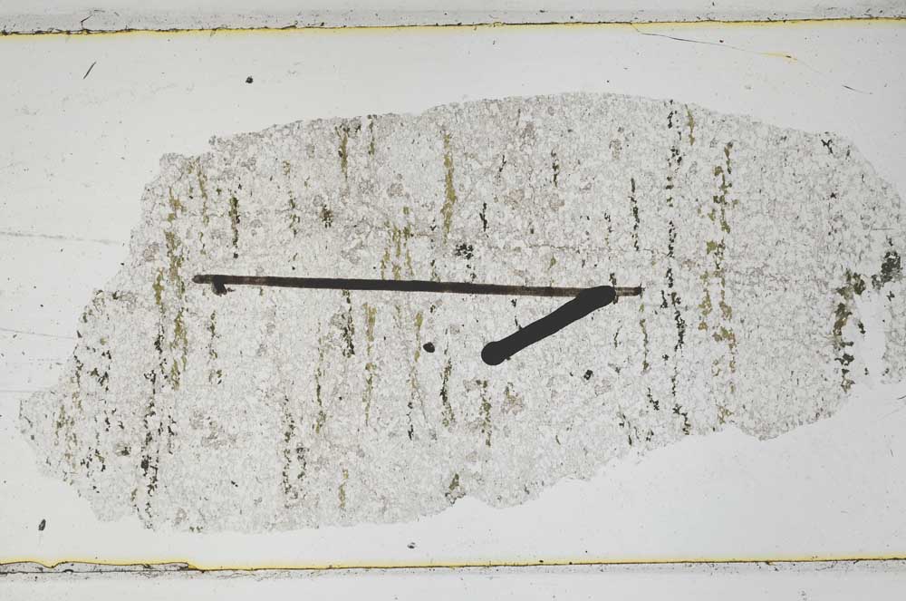 Plane Polarized, S47891