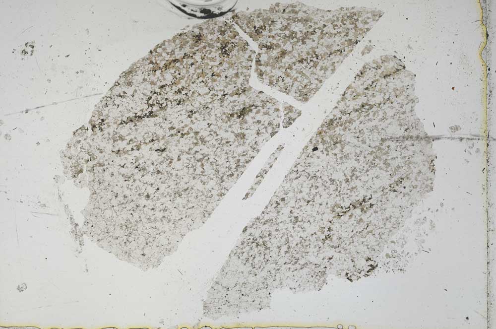 Plane Polarized, S47893