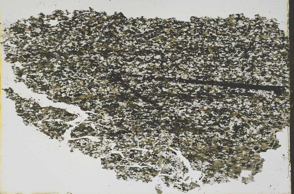 Plane Polarized, S47896