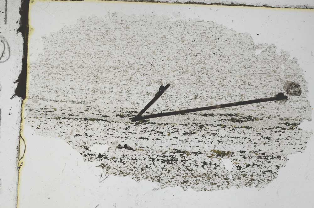 Plane Polarized, S47897