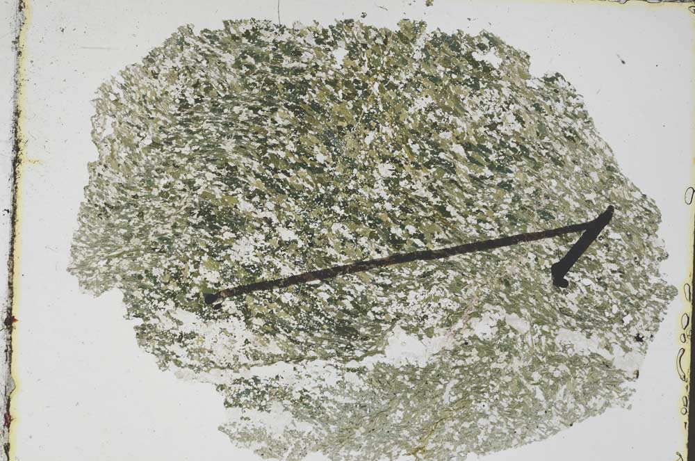 Plane Polarized, S47898