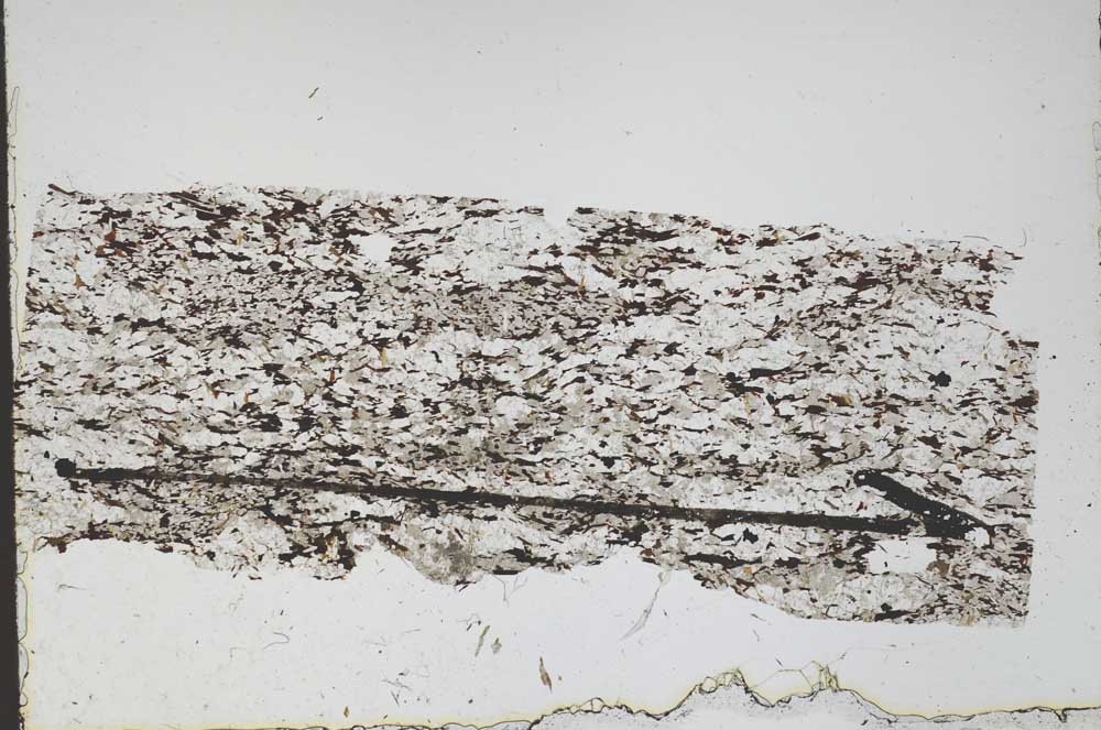 Plane Polarized, S47901
