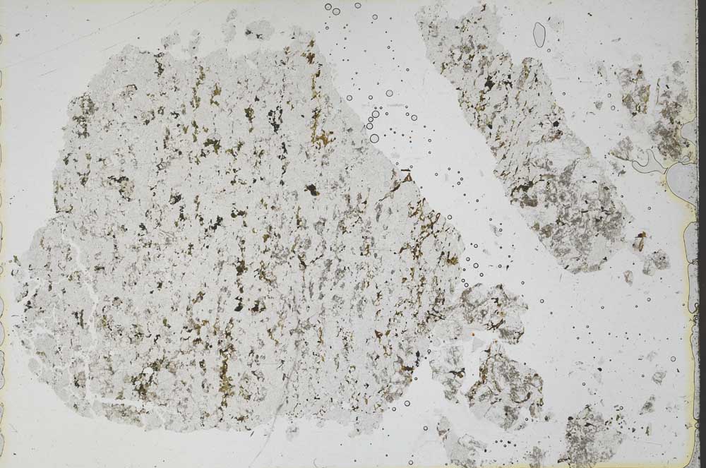 Plane Polarized, S47902