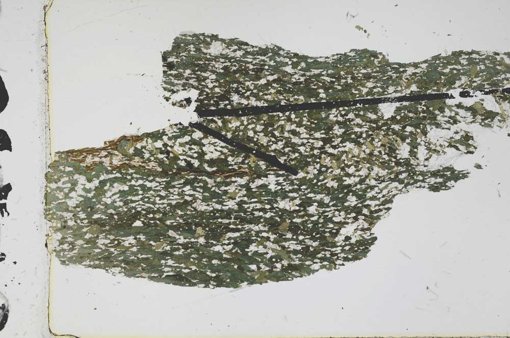 Plane Polarized, S47903