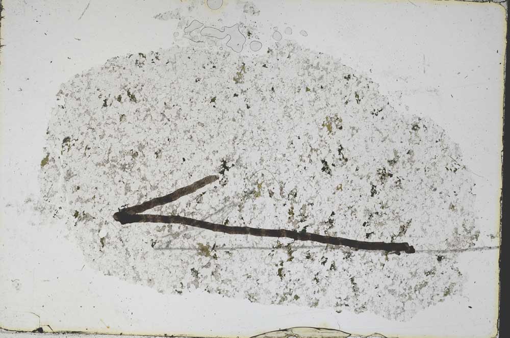 Plane Polarized, S47904