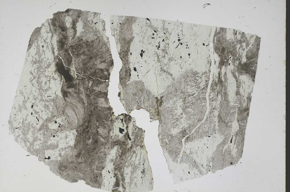 Plane Polarized, S47909