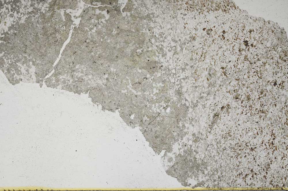 Plane Polarized, S47923