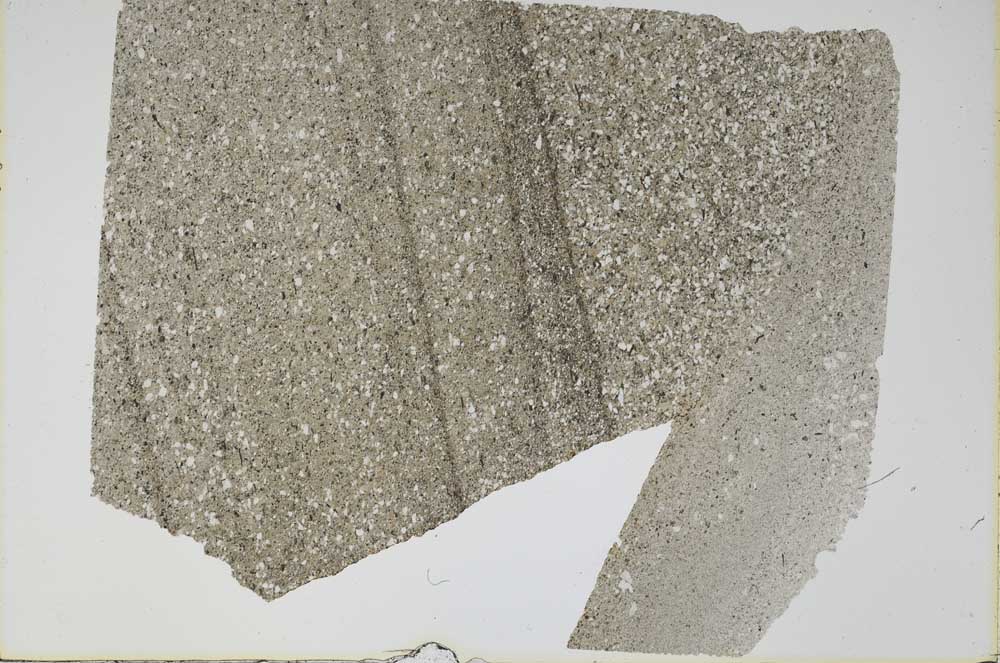 Plane Polarized, S47976