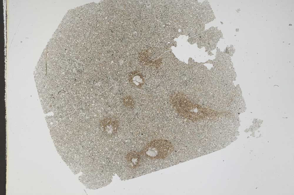 Plane Polarized, S47979