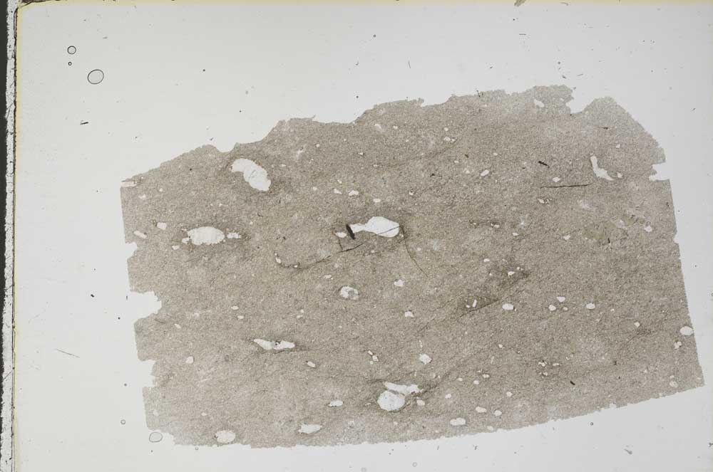 Plane Polarized, S47980