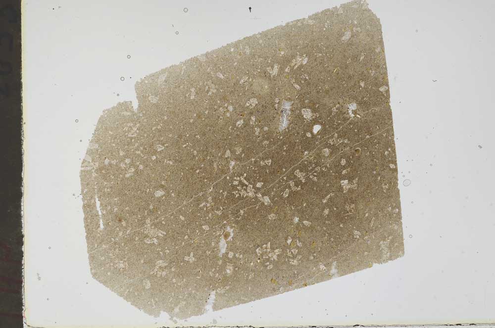 Plane Polarized, S47988