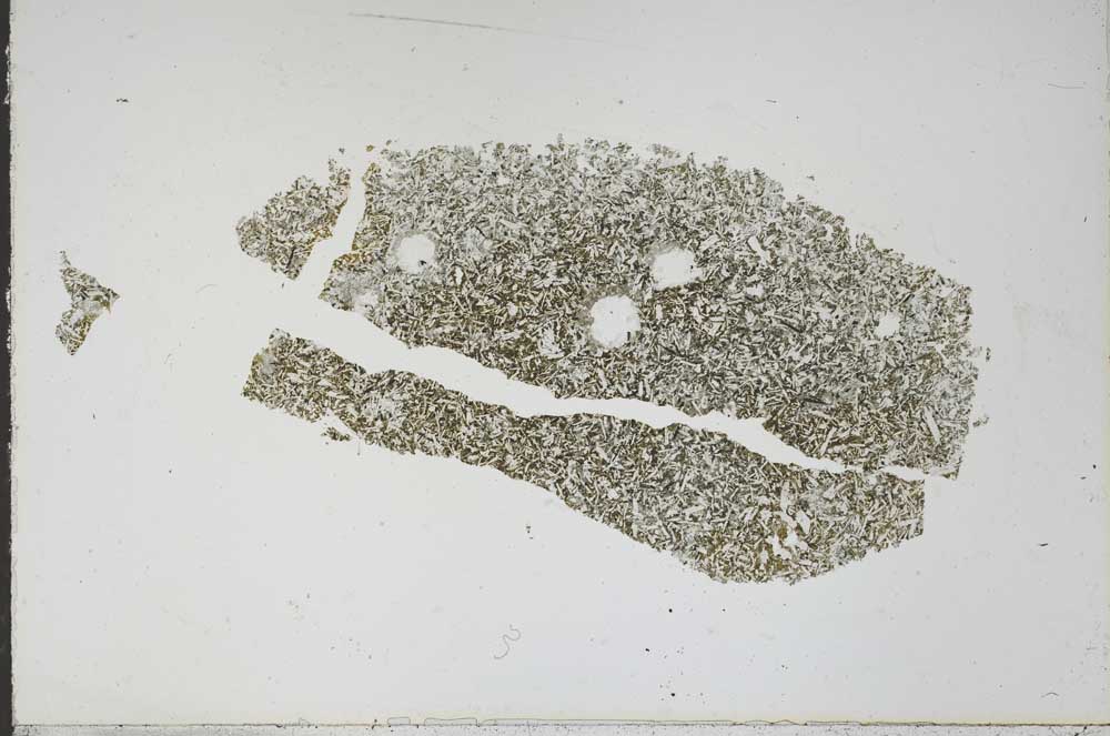 Plane Polarized, S48054