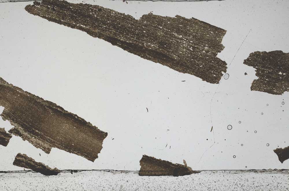 Plane Polarized, S48065