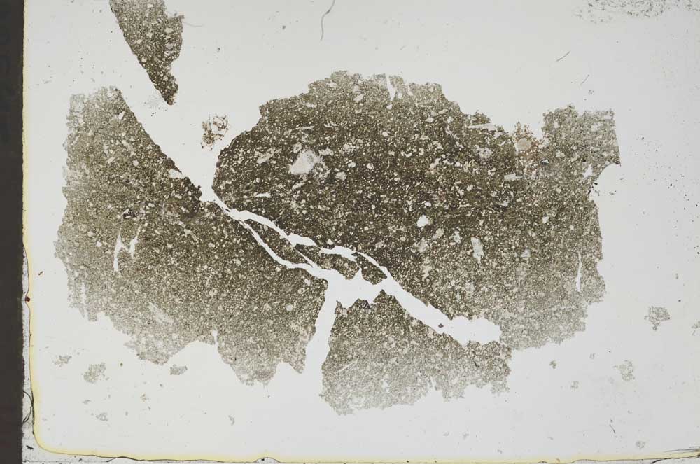 Plane Polarized, S48066