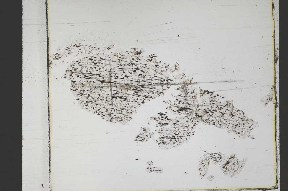Plane Polarized, S48079/A