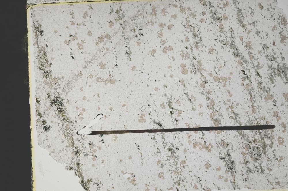 Plane Polarized, S48082