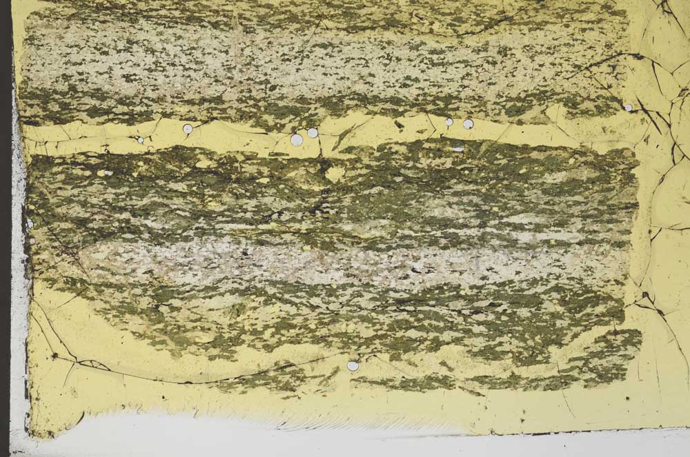 Plane Polarized, S48086