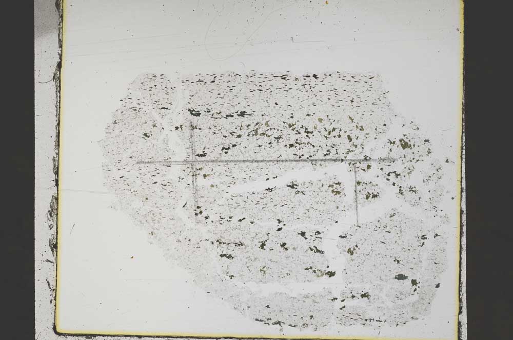 Plane Polarized, S48089
