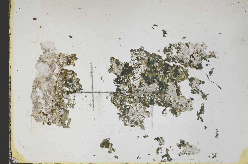 Plane Polarized, S48094
