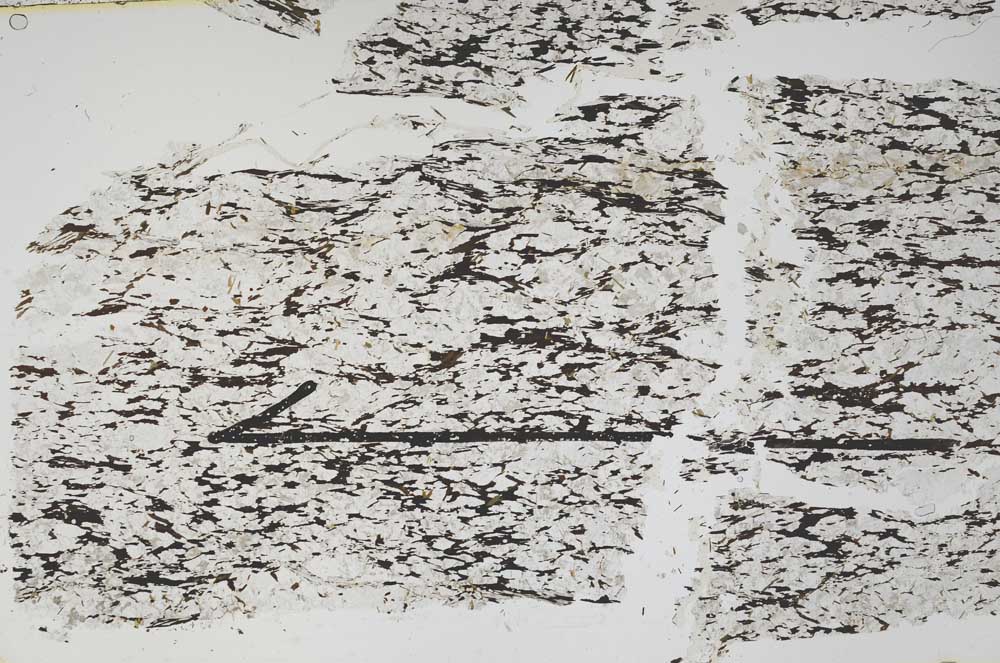 Plane Polarized, S48097