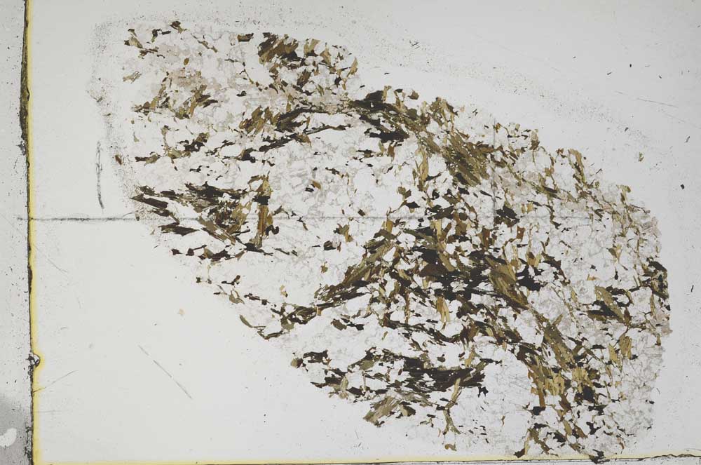 Plane Polarized, S48113