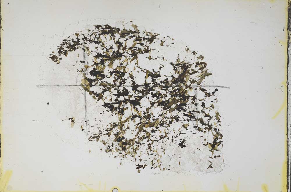 Plane Polarized, S48114