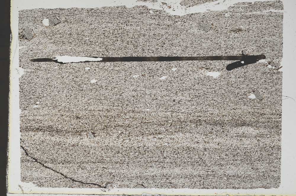 Plane Polarized, S48124
