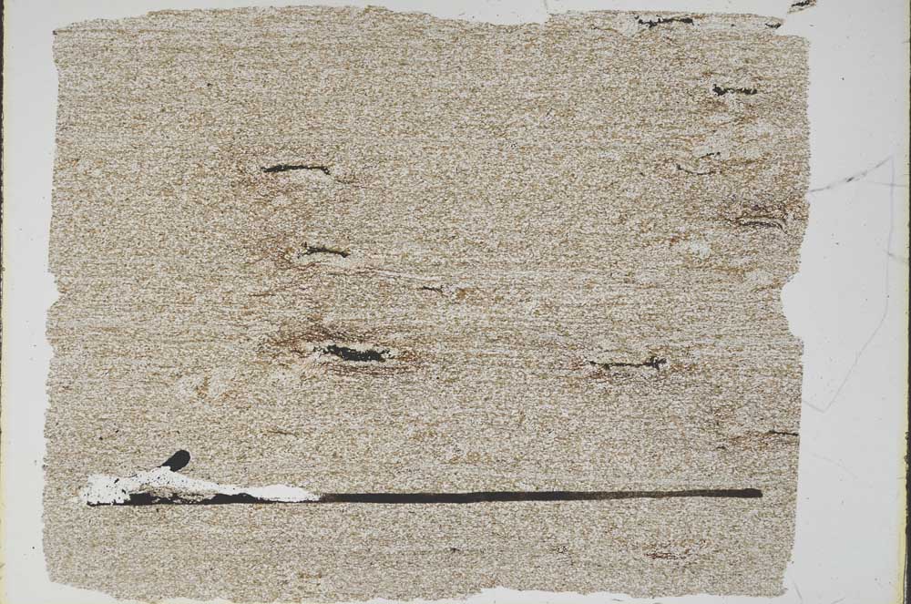 Plane Polarized, S48126