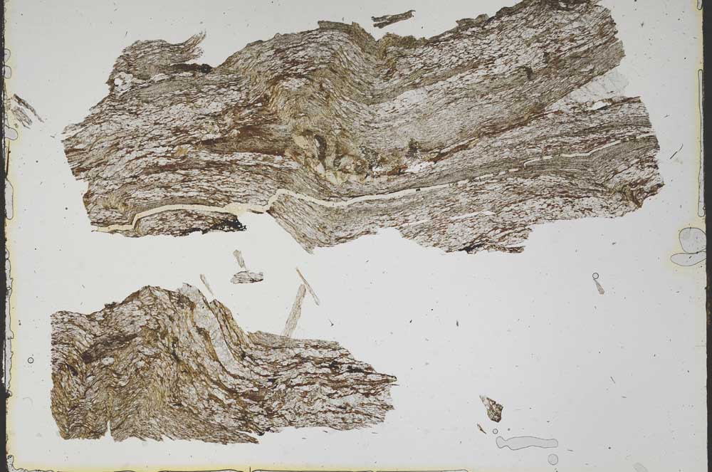 Plane Polarized, S48127