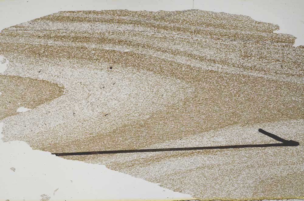 Plane Polarized, S48128