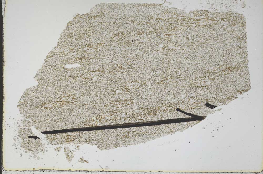 Plane Polarized, S48129