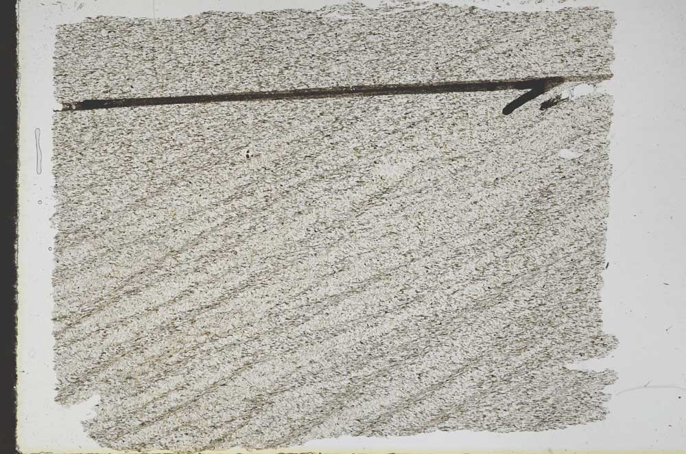 Plane Polarized, S48133