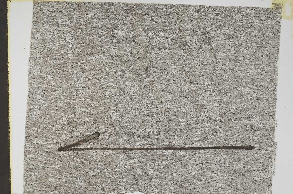 Plane Polarized, S48135