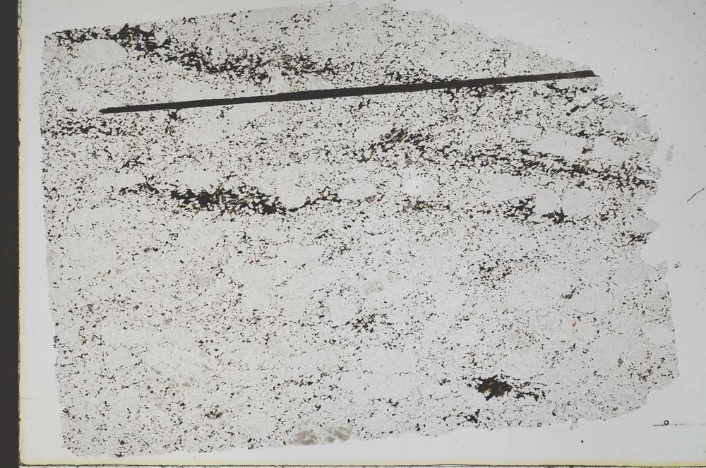 Plane Polarized, S48136