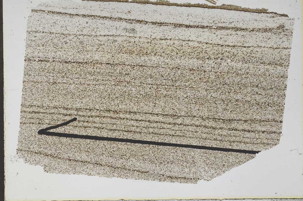 Plane Polarized, S48140