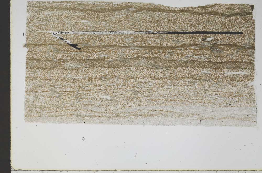 Plane Polarized, S48142