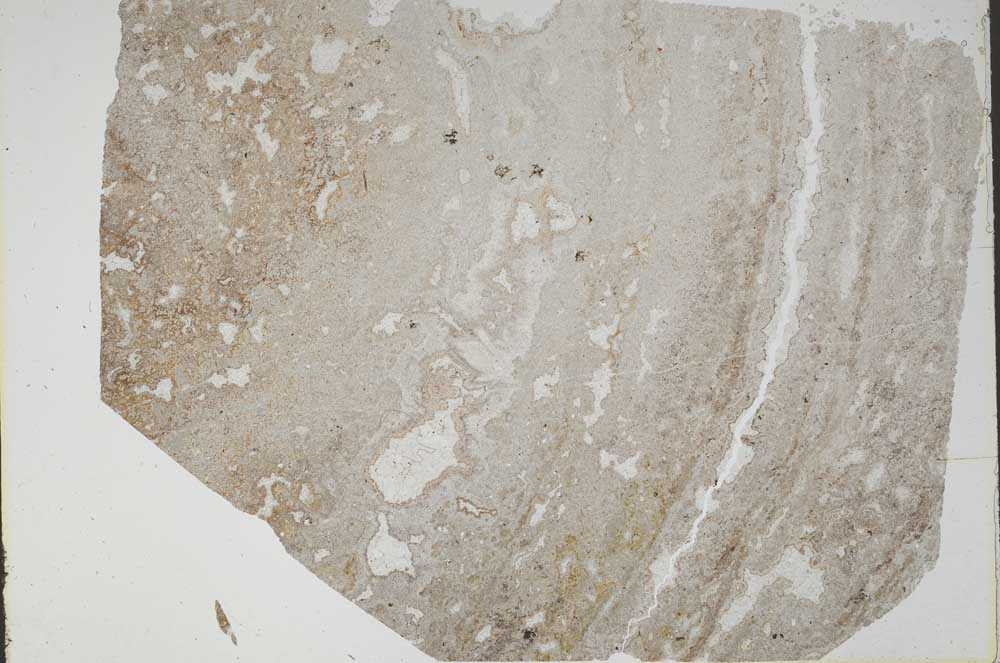 Plane Polarized, S48151